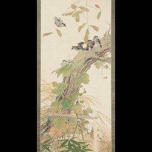 Art hand Auction 【五】泰山 『秋晴之図』 絹本 彩色 掛軸 共箱, 絵画, 日本画, 花鳥, 鳥獣
