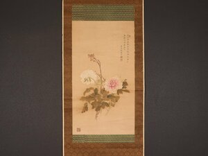 Art hand Auction [Kopie][Provenienz] sh7352 Pfingstrose von Zhang Xin, Shiqi, Chinesisches Gemälde, Malerei, Japanische Malerei, Blumen und Vögel, Tierwelt