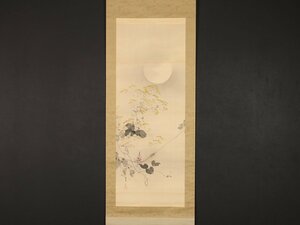 Art hand Auction [Kopie][Provenienz] sh7819 Blumen und Insekten im Mondlicht von Watanabe Seitei, studierte bei Kikuchi Yosai, Meiji-Taisho-Zeit, Eingeborener aus Tokio, Malerei, Japanische Malerei, Blumen und Vögel, Tierwelt