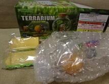 新品★2.はこぶ ピクミン テラリウムコレクション②PIKMIN TERRARIUM COLLECTION リーメント_画像2