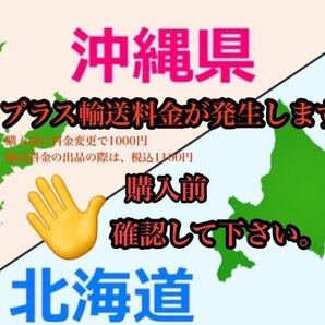 和歌山県 清見 オレンジ フルーツ 家庭用 b品 セール 早い者勝ち 柑橘の画像4