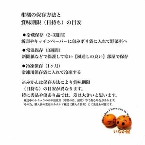 和歌山県 清見 オレンジ フルーツ 家庭用 b品 セール 早い者勝ち 柑橘 残り少しの画像5
