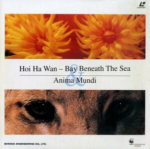 B00129493/LD/「Hoi Ha Wan - Bay Beneath The Sea Anima Mundi」