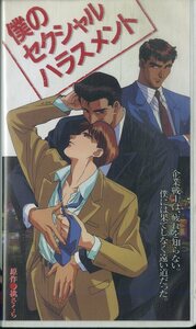 H00018016/VHSビデオ/「僕のセクシャルハラスメント」