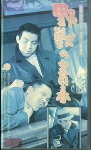 H00019248/VHSビデオ/宍戸錠/木島一郎　他「野獣の青春」