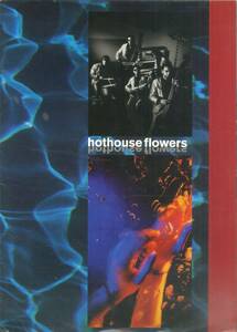 J00005257/☆コンサートパンフ/ホットハウス・フラワーズ「Hothouse Flowers Tour 1994」