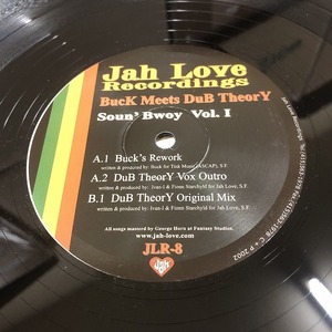 Dub Theory - Soun' Bwoy Vol. I　(A28)