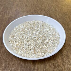 ku. rice 25kg go in kz rice postage included rice feed remote island shipping un- possible 