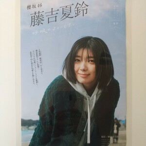 お-091『雑誌グラビア ラミネート加工』『藤吉夏鈴 櫻坂46 撮り下ろし 自然体』週刊少年マガジン 2024年3月13日号 B5 4枚8ページ ※15