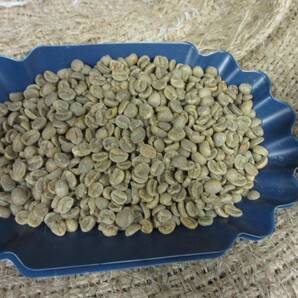 新鮮コーヒー豆 キリマンジャロＡＡ シティロースト １ｋｇ ハローコーヒー＃501の画像4