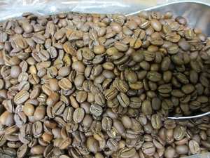  fresh special price coffee bean .. times . also selectable premium Blend coffee 1kg Hello coffee #514