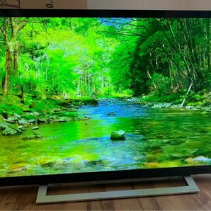 2022年製 50V型 4K液晶テレビ 50M540X TOSHIBA REGZA