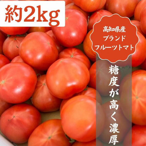 48高知県産 土佐 フルーツトマト 約2kg 高知特産