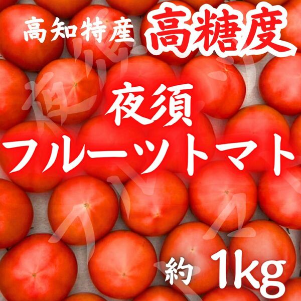 28知県産 土佐 フルーツトマト 産地直送 約1kg 宅急便コンパクト