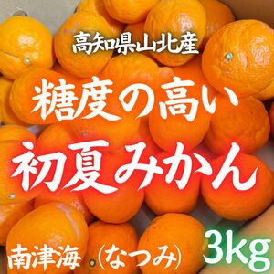 018高知県山北産 サイズおまかせ なつみ 南津海 約3kg 初夏みかん