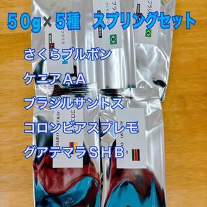 最終案内 スプリングセット ５０gx5種 さくらブルボン ケニアＡＡ　ブラジルサントス コロンビアスプレモ グアテマラＳＨＢ　