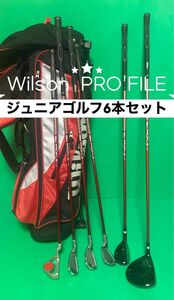 Wilson PRO FILE ジュニアゴルフ6本セット