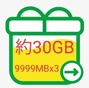 mineo パケットギフト 約30GB コード通知