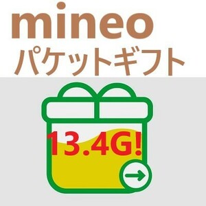 mineoパケットコード13.4Ｇ　その1