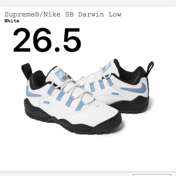Supreme × Nike SB Darwin Low "White"