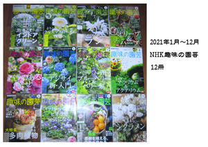 〇美品NHK趣味の園芸2021/1～12月揃いの12冊〇多肉植物果物植木庭木盆栽鉢植ガーデニング店舗インテリアサボテン雑誌アレンジメント