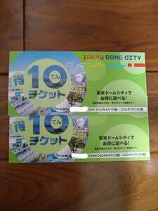 東京ドームシティ　得10チケット　2冊　20ポイント 立山黒部アルペンルート 東京都競馬 東京サマーランド 株主優待