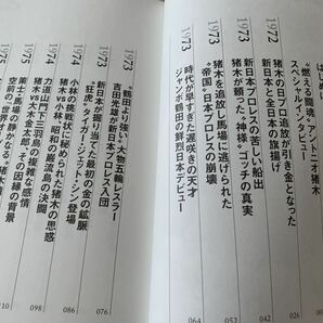 闘魂と王道 - 昭和プロレスの16年戦争 - 堀江ガンツの画像4