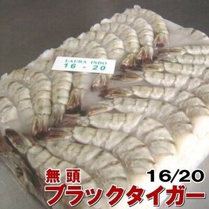冷凍ブラックタイガー　16/20サイズ(約72尾)　無頭　エビフライや海老の天ぷらにお使い下さい