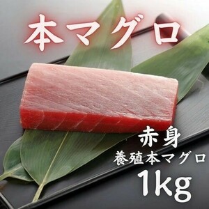 【格安】マグロ赤身(天身)１キロオーバー　インドネシア産　冷凍マグロ　天身ブロック　お刺身　マグロ丼　寿司ネタに