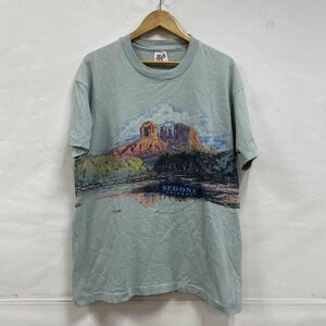 ヴィンテージ San Segal 90's ?1990 シングルステッチ SEDONA ARIZONA anvil USA製 L Tシャツ Tシャツ L 水色 / ライトブルー