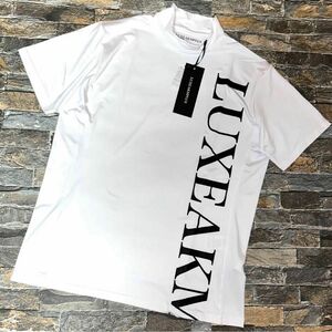 【新品】LUXEAKMPLUS AKM／モックネック ゴルフウェア ストレッチTシャツ カットソー M