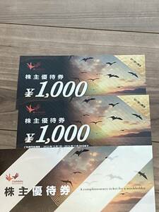 カラオケ　株主優待　2000円