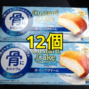 特別価格■ 北海道生クリーム使用 カスタードケーキ ホイップクリーム２箱 【箱から出して梱包、常温配送】