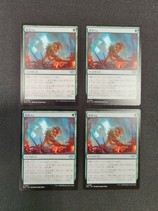 MTG　アンコモン　町荒らし　日本語版　4枚セット