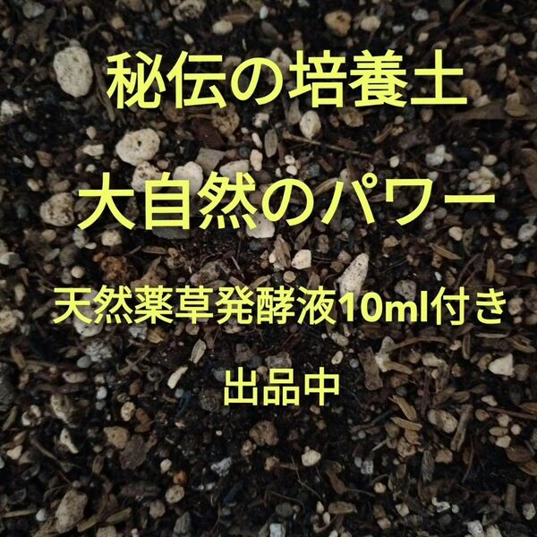 秘伝の培養土　大自然のパワー　２リットル