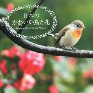 日本のかわいい鳥と花／真木広造(著者)