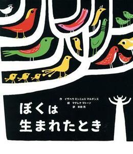 ぼくは生まれたとき イザベウ　ミンニョス　マルチンス／作　マデレナ　マトーソ／絵　本田亮／訳