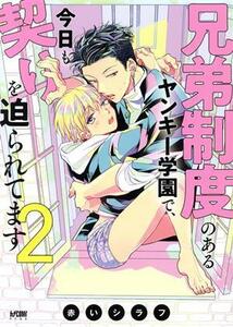 兄弟制度のあるヤンキー学園で、今日も契りを迫られてます(２) プリンセスＣＤＸ　カチＣＯＭＩ／赤いシラフ(著者)