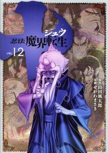 十　忍法魔界転生(ＶＯＬ．１２) ヤングマガジンＫＣＳＰ／せがわまさき(著者),山田風太郎