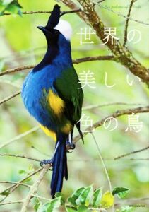世界の美しい色の鳥／サイエンス