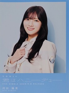 ○日向坂46 11th 君はハニーデュー フライヤー 河田陽菜○