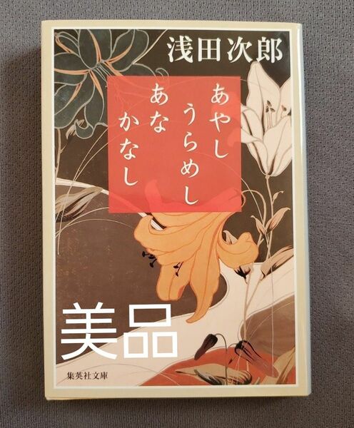 あやしうらめしあなかなし （集英社文庫　あ３６－１７） 浅田次郎／著