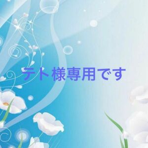 【テト様】うそつきカメレオン　君は太陽　２冊セット　