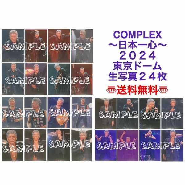 COMPLEX 日本一心　20240515.16 東京ドーム　生写真 24枚セット　吉川晃司