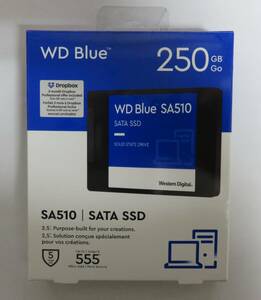 * new goods WD BLUE 250GB SSD WDS250G3B0A