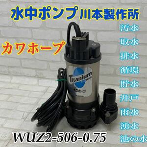 R■ 未使用保管品■水中 ポンプ 川本 製作所 カワホープ WUZ2-506-0.75 タケノコ 三相 40mm 汚水 取水 排水 雨水 循環 井戸 池の水