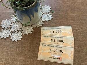 ☆ビックカメラ株主お買い物優待券♪1000円3枚♪最新