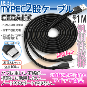 USBタイプC 2股ケーブル 枝分かれ 100cm 2本セット Cケーブル typec USB-C 充電ケーブル CEDA100