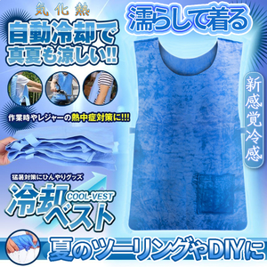 水冷ベスト 冷却ベスト 水冷服 冷感 ベスト クール 熱中症対策 グッズ 猛暑 暑さ 水冷 冷却 サイズ調節 屋外 作業 運動 AOSYA