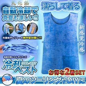 水冷ベスト 冷却ベスト 水冷服 2枚セット 冷感 ベスト クール 熱中症対策 グッズ 猛暑 暑さ 水冷 冷却 サイズ調節 屋外 作業 運動 2-AOSYA